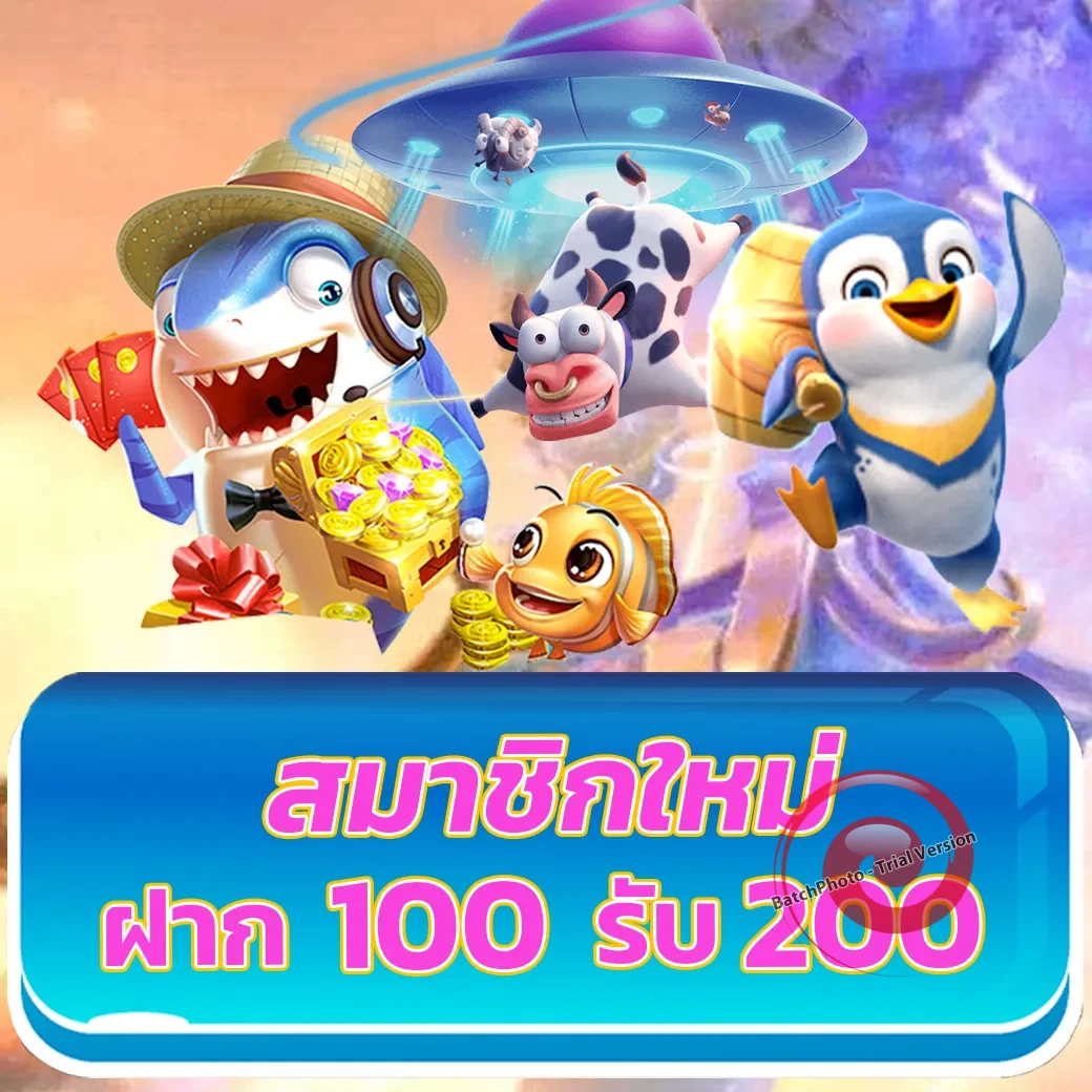 pglisa888สล็อต